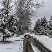 0d0436754c7f5226445e187d911b77db