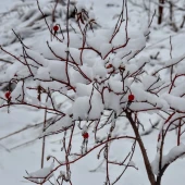 0dd918ba4f8bc9451bbab7013a79f8db