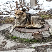 0e32df86c4cec92cbbebefcf65a4c425