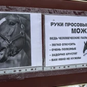 0eec1f6c37206599bca82db77e19791a