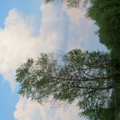 0f69a12778bc1d691c227106d100f3fb