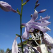 1091fdff71eacae2fa145f276738a139