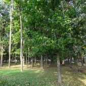 132ac788eddcee773d240cfcd4957112