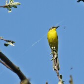 183377df251c60d5f5fd70b26221097a