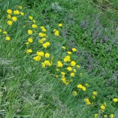 1af7cd171cce6ec2a16b4b01aae399a8