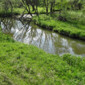 1c54fdc25c1dc603bacc363b61876aa3