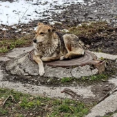 1fad6ff01b291a4dd869859b70c06c35