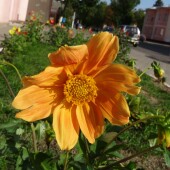 2021a85520faf409abbaceb8c98b7479