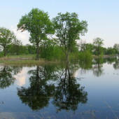 229e40adb23654caace71a583328dad9