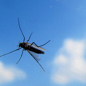 25947b58a04d6cd4790803c4f2e2f1c2