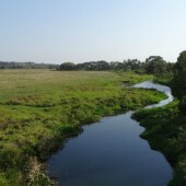 2d13a8ea6ee16da51b863883db43309d