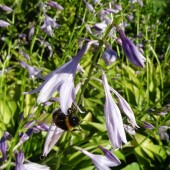 2e999e091bf6dffb04a42e99ac3e4d22