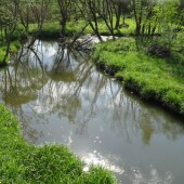 34f4172ec9ee129cd83b5b91d5b828c2