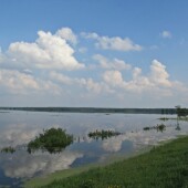 35af1c9935901baefbaf3a9b26fc3825