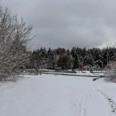 37dcc4f0765912a456acace272d7aa59