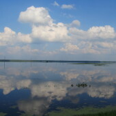 39a07c77964cbf01898eda0a14b37048