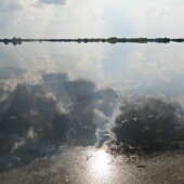 3f9970dfc9309cdce85db76772e73608