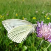 48b3ede4be60e67ebc733c6514ded5ef