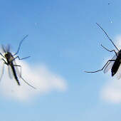 504fcb87c30411f2dd638a561cd10d44