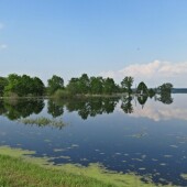 52b935051d1996fcb16d130a793174d2