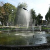 573ea91a89e65777d5a7f99c065fe5cf