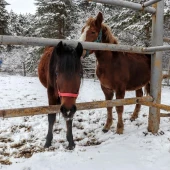 57cce5f2a0e31c0ef4b42089a311c8bd