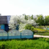 58e2b9c84d637d20ac372af6108bbb28