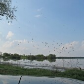 625b3764f9e56d0aa3d24f4057e5c4fb