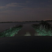 68473aa5a1894cf9646b45076f3e1297