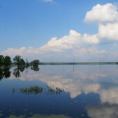 6ae724ed0ecc156bd543fa47aab4c2b2