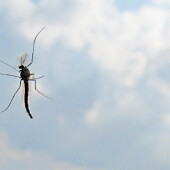 71eb8f7094439bd8bc4577b198122146