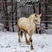 74534c8b5f6ef6b949fa2a6a37aa72d2