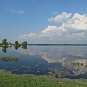 745f85ee404498c517da1193d5aecc31