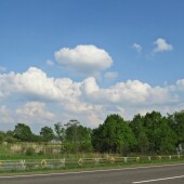 74a51d61c4b215fd2c6f256cf8eb9172