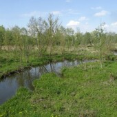 74fd81fbf4900d4846cfe2f620e75f15