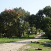 7539a6effceacc376fb254ae6c4dbc28