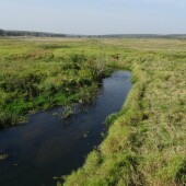 75947dcd9b6ae8524b16d3a580fc228c