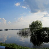 75a1ff3fd659ba6b99e26c92d8bf9d0c