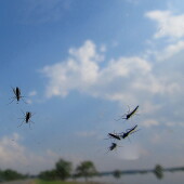 7c21ade0d07f6a48a54216321f4cba89