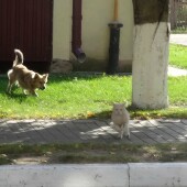 801b7f27f663730a3379804a6049e1a8