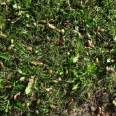 8a05549a91ffa78367b5019003c5fc5f