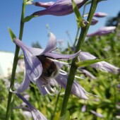 8d8e858ef7083be497703a7c2b750e9f