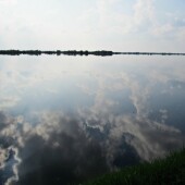 8e2dc688b5bea2b9778b07d422939fa5