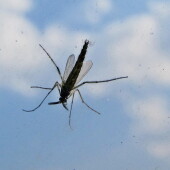 8f8eb92b7d86af0eeb63363f5adefeb3