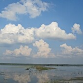 927e3fee39d506154ee64c3f25d2413d