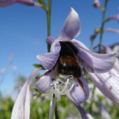 94326a933db41727f92dac037cfb071a