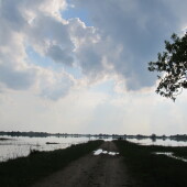 95b959570b3beb5bce2ff0252ab09962