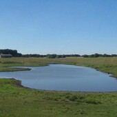 966d260792609a5470341fd5aa9d6452