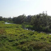 97e56aa7c4e0a69d796b2ec76b39eece