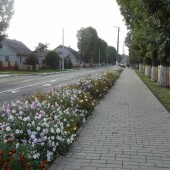 999caefe055871d7ebd46045e518186d